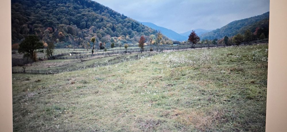 Vand teren Cuiejdi cel mai bun pret 22.000eur