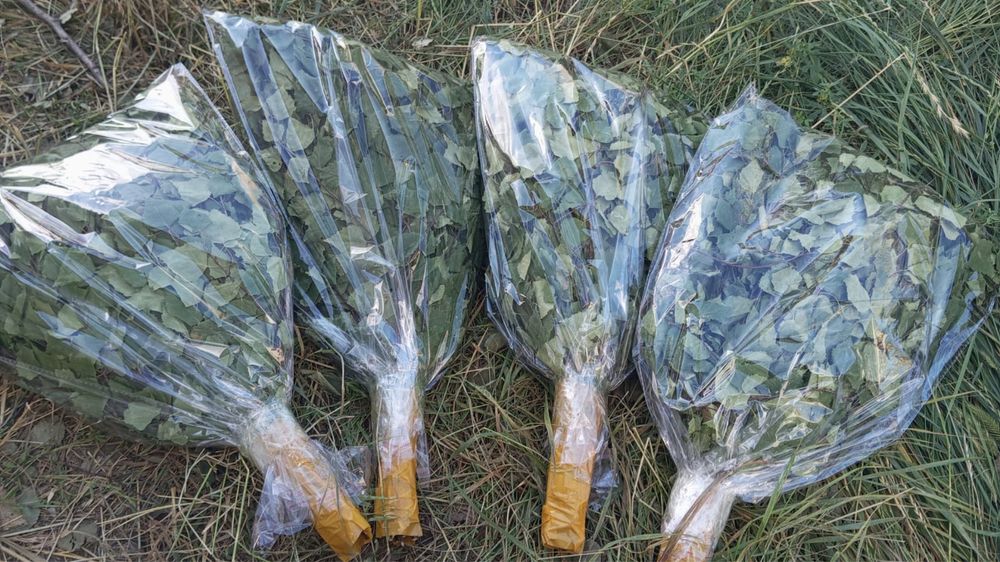 Березовый веники