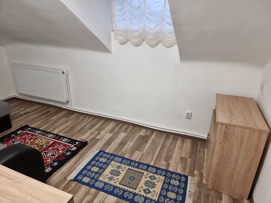 Vând apartament si o minigarsoniera pe Aleea Parcului la mansarda