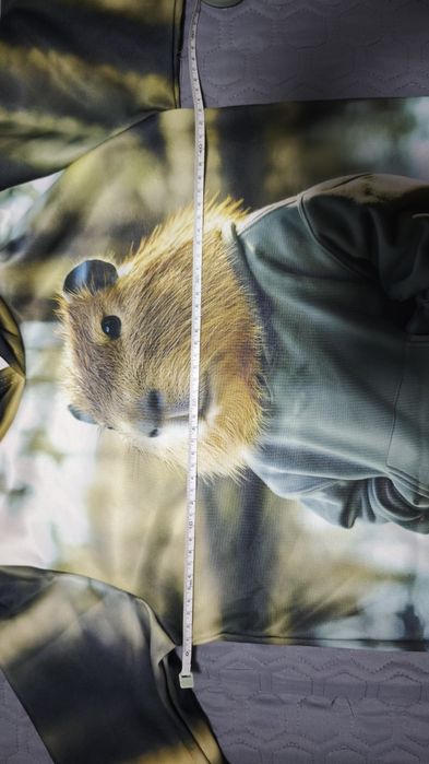 Худи с капибарой