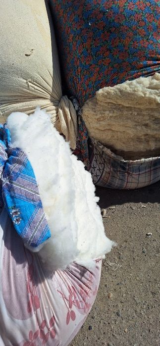 Paxta titish, sotish, kõrpa, va kõrpacha qavish xizmati YUNSOBOD