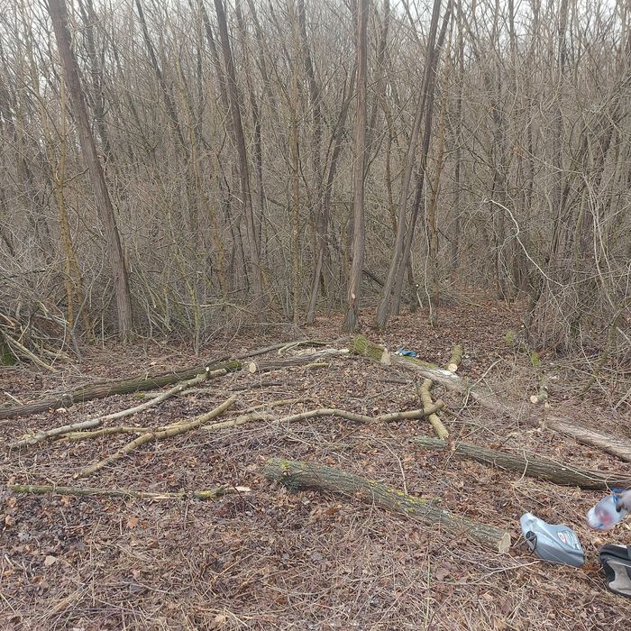 Defrișări,tăiat iarba,curățare teren,toaletare copaci la inaltime etc.