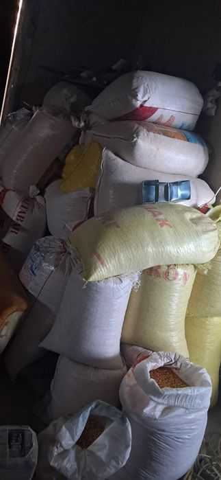 Макка жухори сотилади