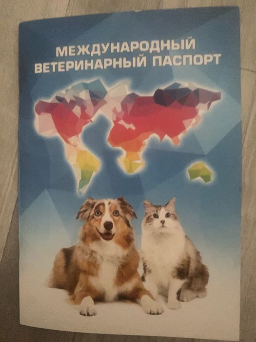 Декаративный кролик