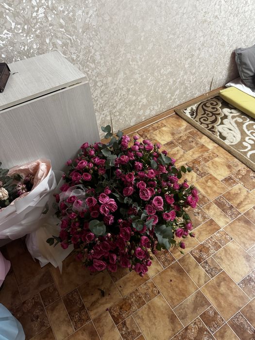 Продам цветы кустовая розы