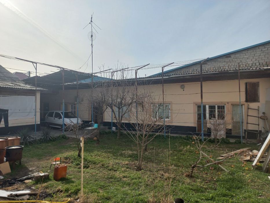 Участок 275.000 & Амир Темур махалля