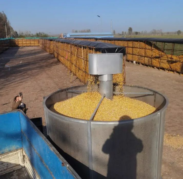 Зерносушилка для зерна, семечек