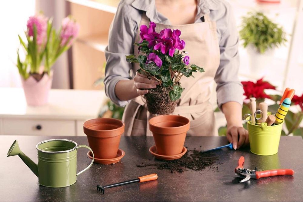 Профессиональная услуга фитомастера-флориста