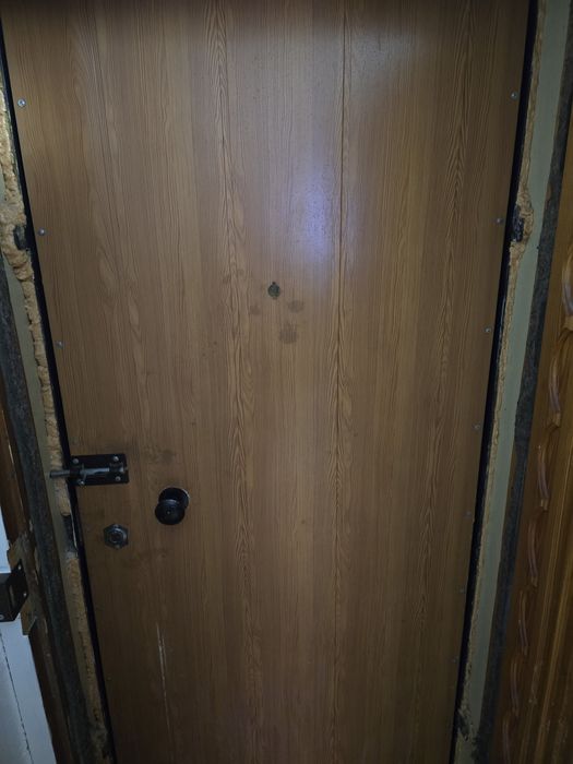 Металлическая дверь