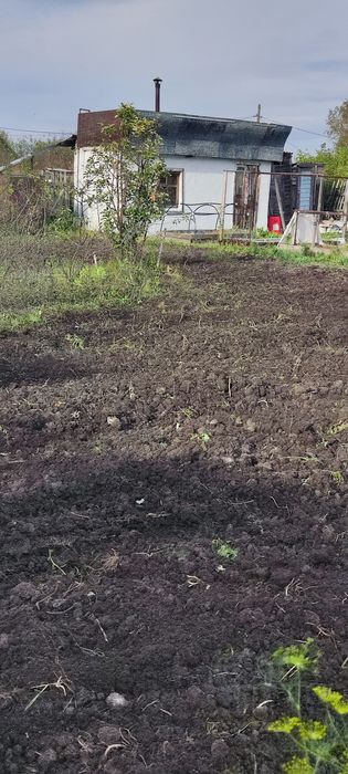 Продам дачу с баней в  СТ  Борки