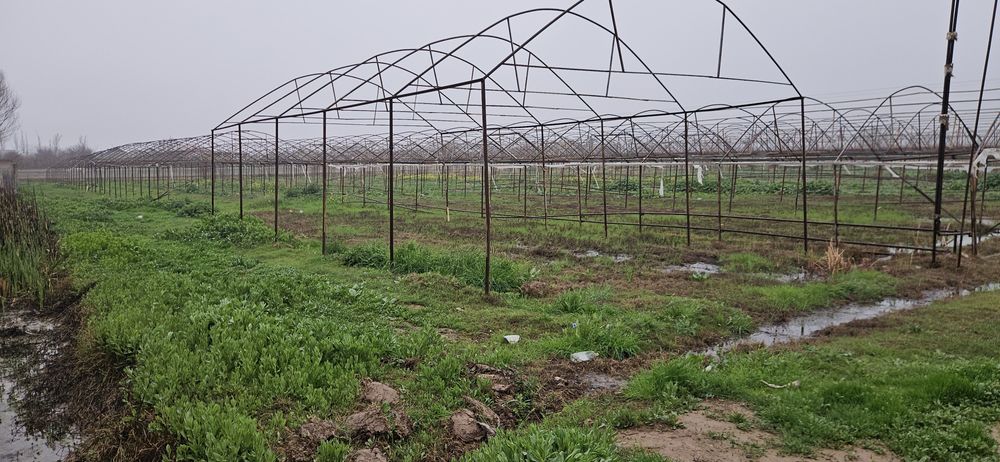 теплица 3 гектар жой ижарага берилади