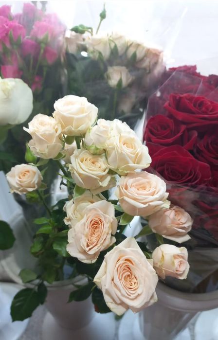 Свежие цветы .Есть доставка