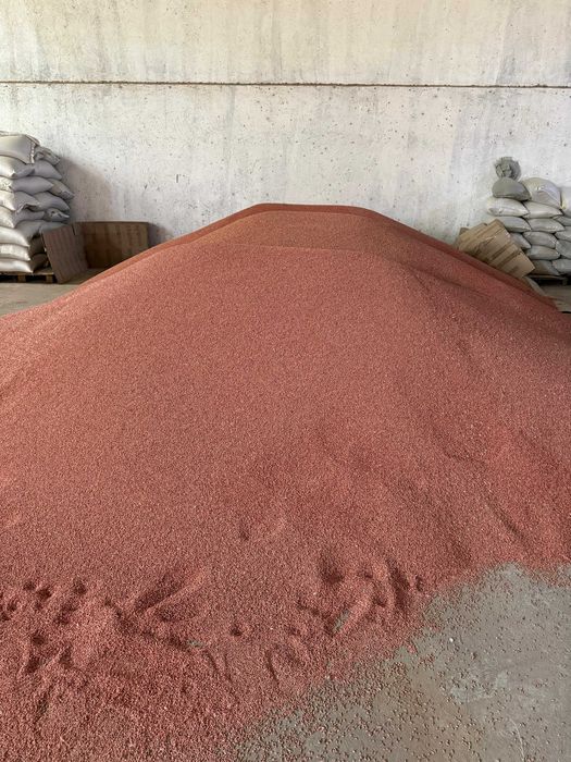 Пшеница для посева на продажу