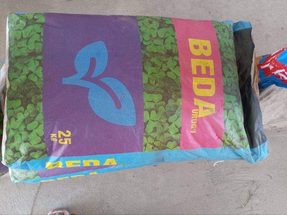 Beda urug‘i sotiladi