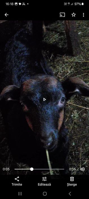 Vand tap si iezi