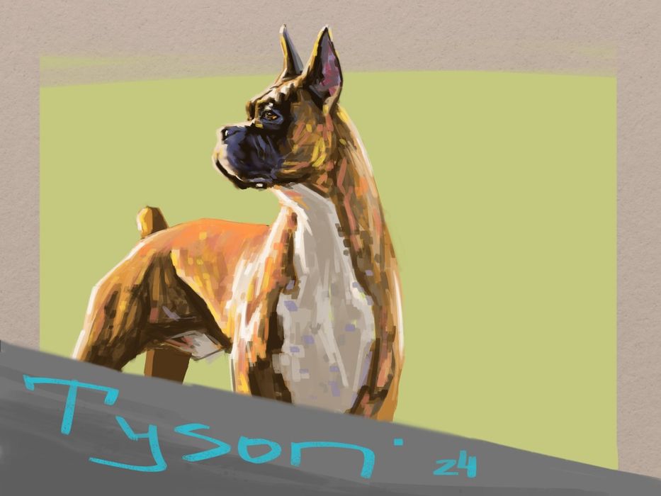 Рисуване по поръчка за подарък от художник