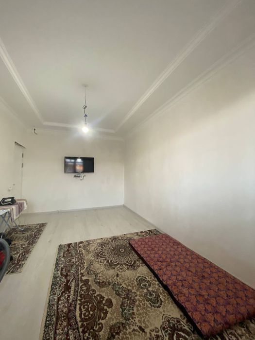 Кора камиш 1/4 3/4/4