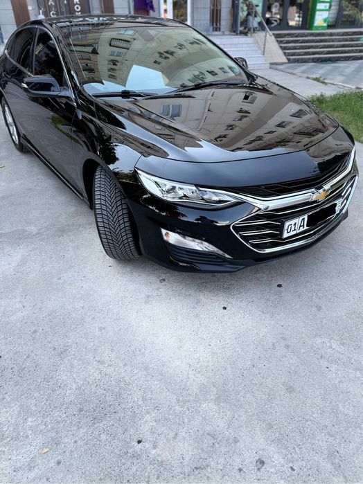 Malibu 2 Primer 2020