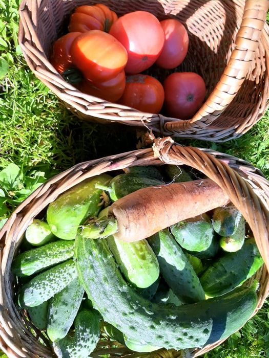 Дача в районе Борки