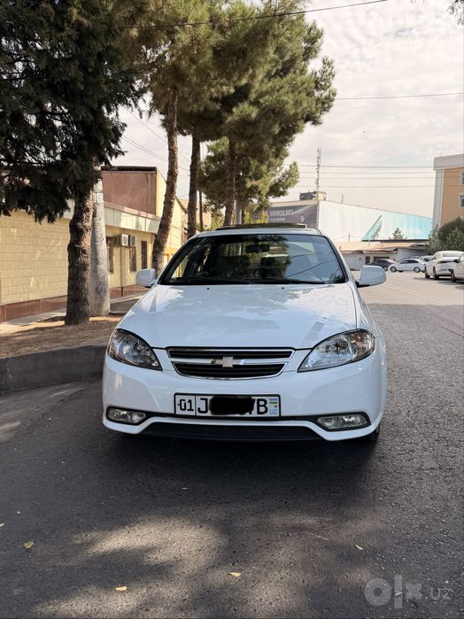 Jentra oq 2019 3- pozitsa