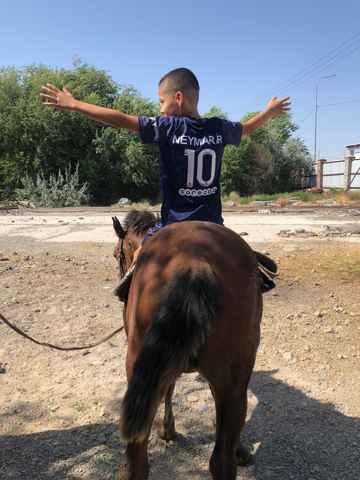 пони сатылымда .