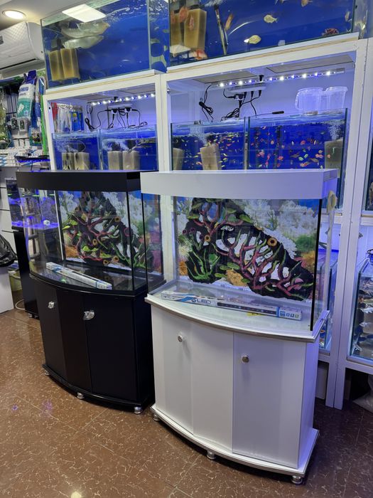 Akvarium 150- litrlik