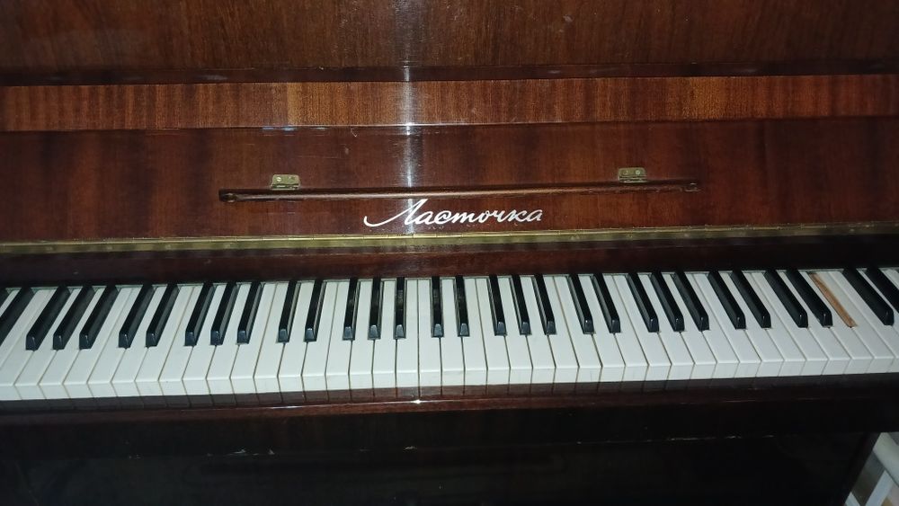 pianino sotiladi lastochka,