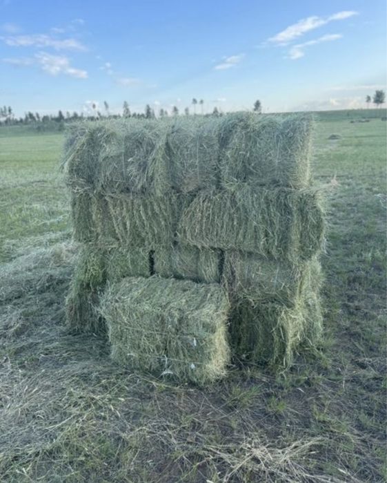 Крестьянское хозяйство дом базы земли техника