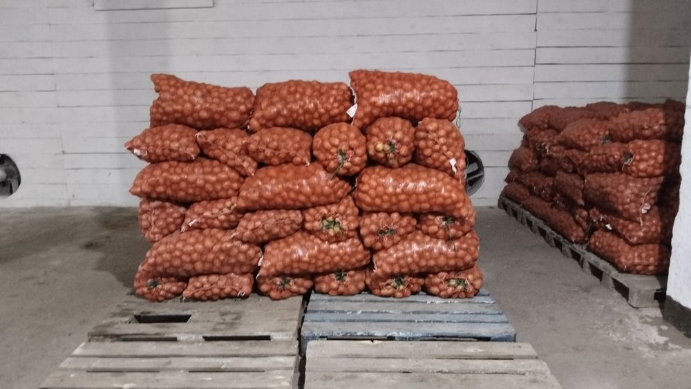 Гала картошка дачный