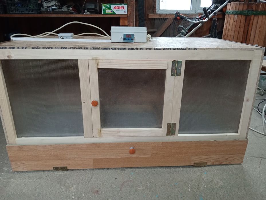 Maternitate pui de o zi