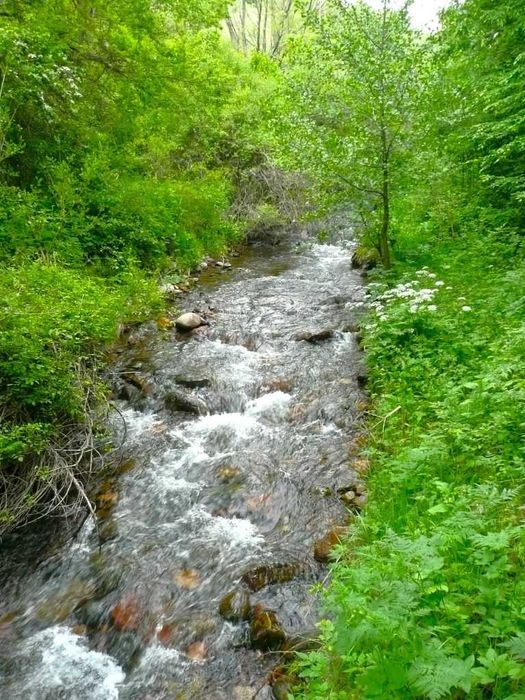 Парцели в регулация в село Боснек, Обл. Перник