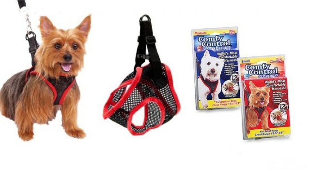 Каишка за домашни любимци