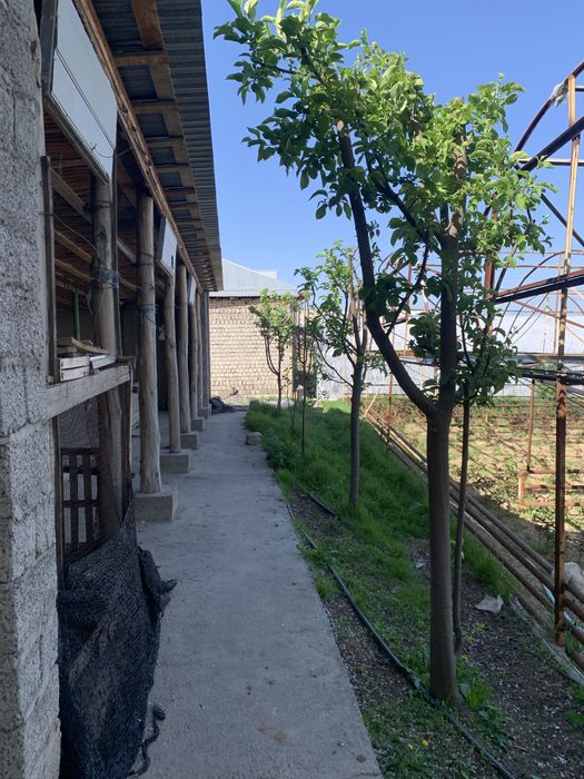 Yer sotiladi 5 sotix