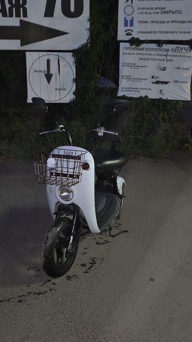 Suzuki choi nori 49