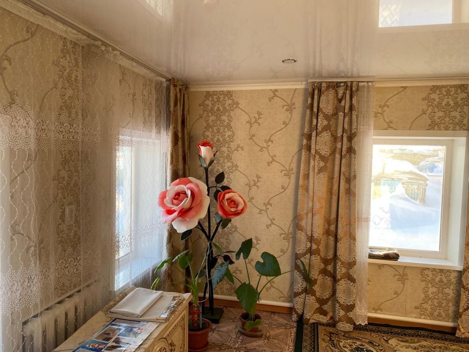 Продам дом в селе Корнекты