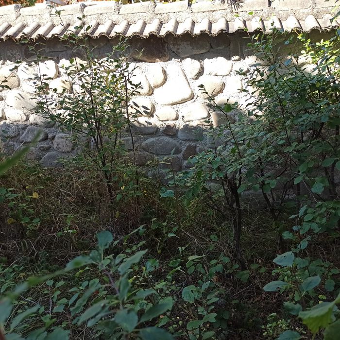 Продава се Къща в с. Виден, Област Стара Загора - 80 кв.м за 434 €/кв.м - Снимка #3