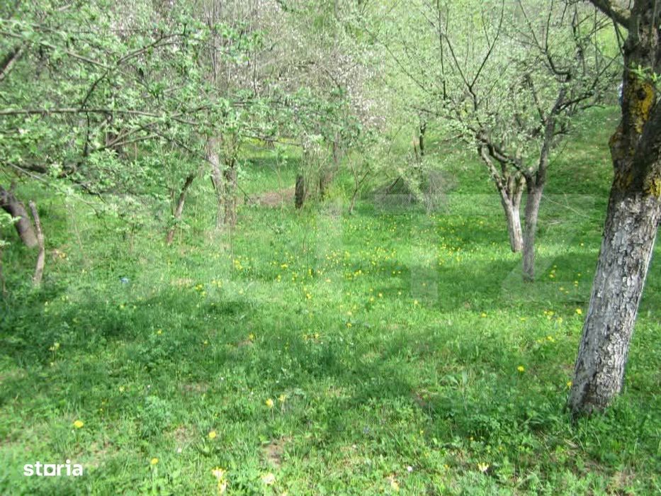 Teren de vanzare, 884 mp, zona Runcu