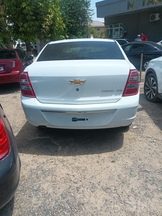 2026 yil  bez prabek Cobalt .MCM