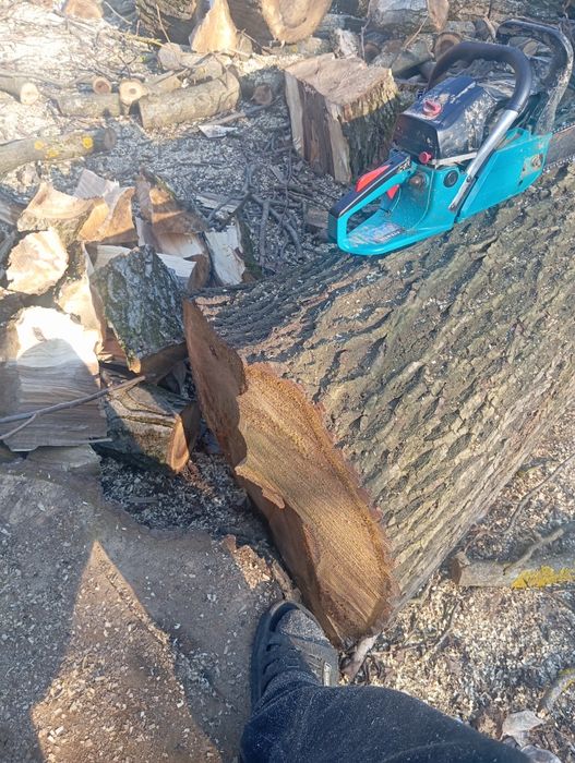 Nuc bătrân sănătos este verde