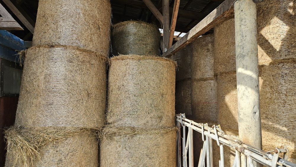 Baloți rotunzi  lucerna