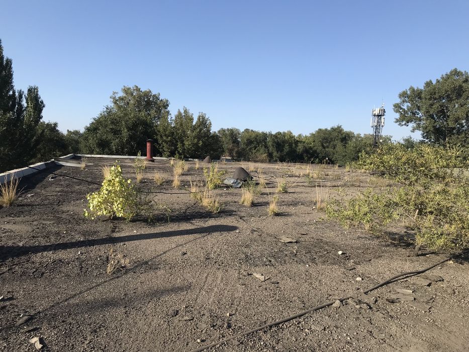 Ремонт мягкой кровли Алматы