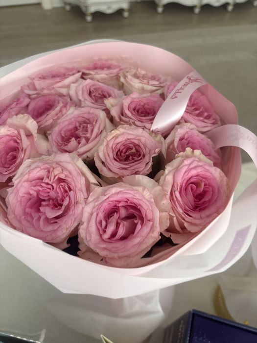 Гүлдер бүгінгі арзан бағада