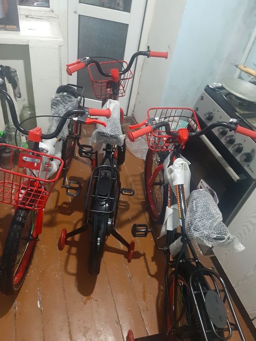 Veloseped berkut