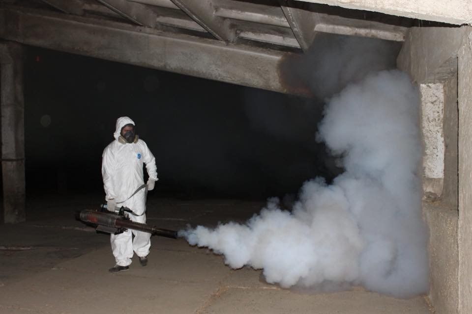 Дезинфекция,Дезинсекция. Дератизация.Фумигация.Озонация.Газация.Ридаци