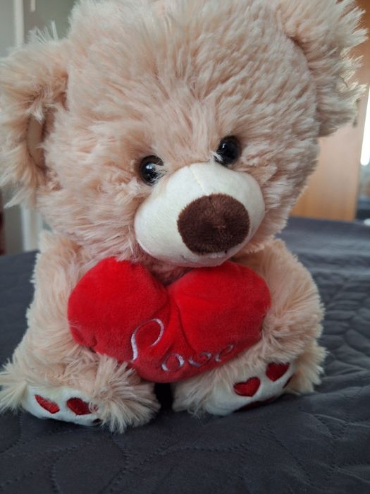 Ursulet de plus  nou