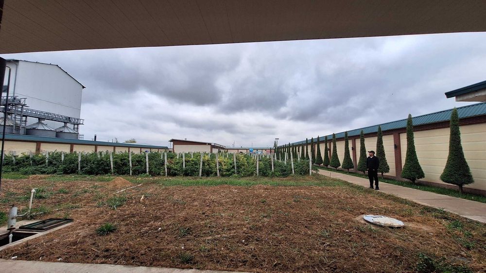 Срочно продажа автомойки, супермаркет и магазин авто запчасти