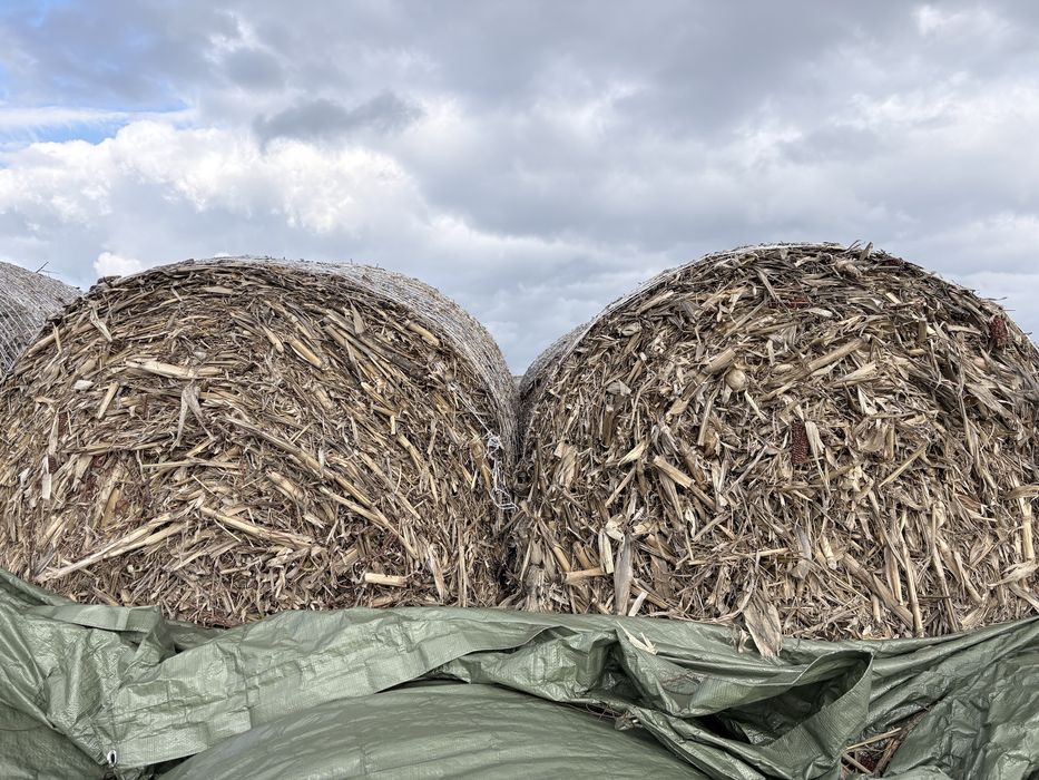 Baloți de tulei 40 de buc !!