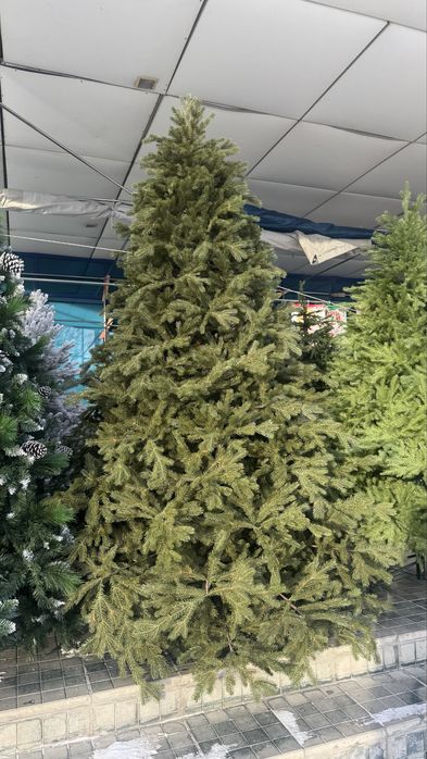 Продам елку 2,4 м