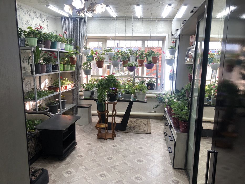 Продам дом с магазином