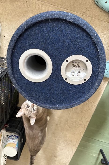 Subwoofer auto Magnat ptr reparat